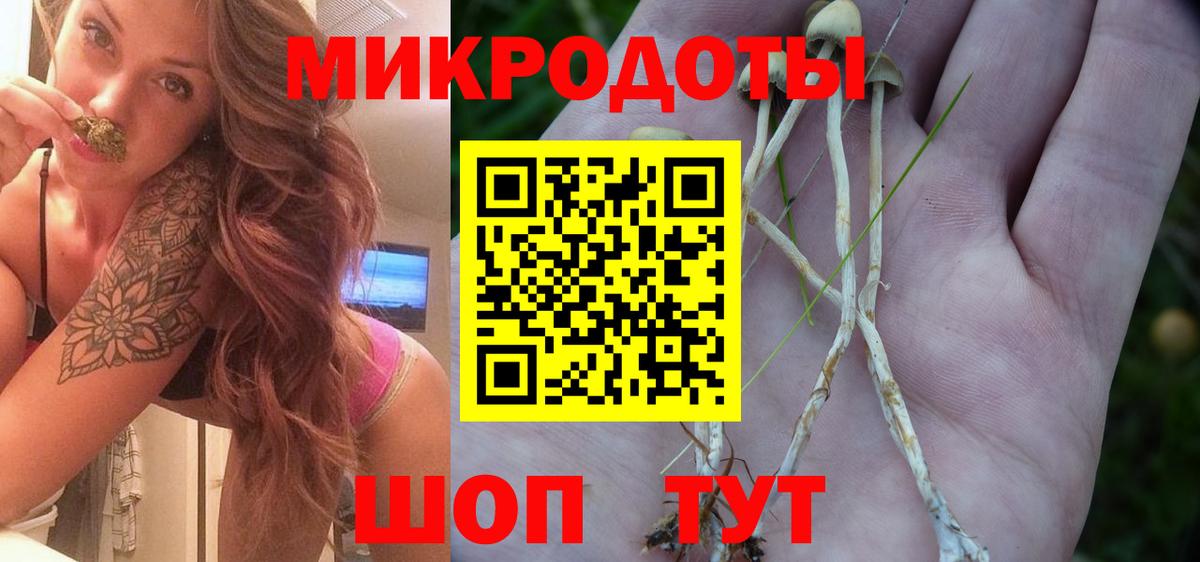 Галлюциногенные грибы GOLDEN TEACHER  Вход с VPN  Новоалтайск 